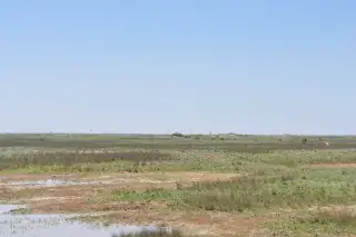 НогӀий