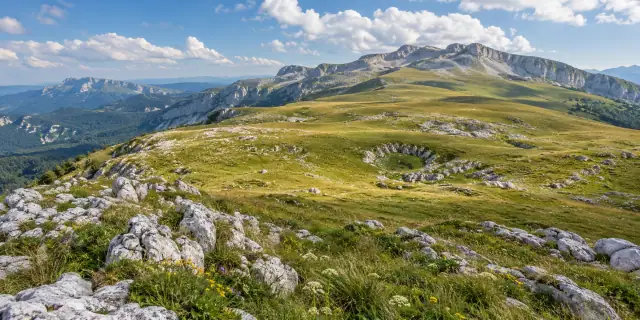Adyghe (Circassians)