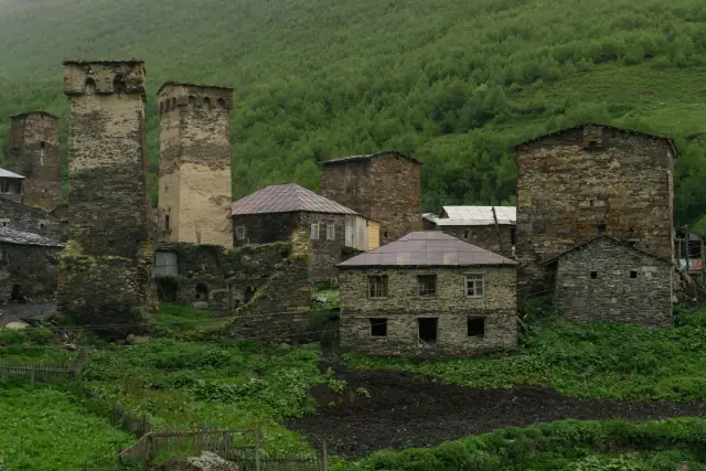 Georgians