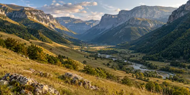 Ingush